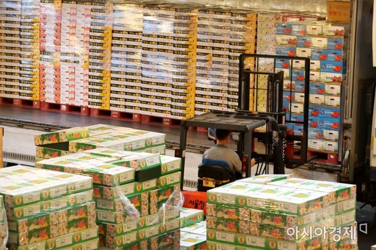 [포토]분주한 가락시장 