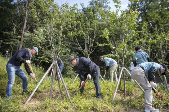 아주그룹 임직원들이 2일 서울 중랑구 소재 청남공원에서 숲 가꾸기 활동을 하고 있다.
