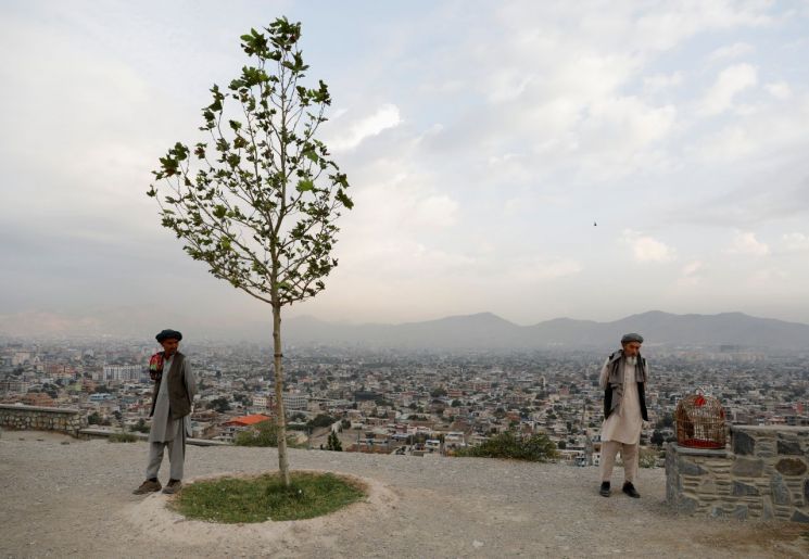 美아프간 특사 "미군 5000명 철수…탈레반과 평화협정 합의"