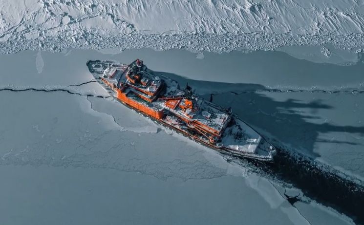 [과학을읽다]쇄빙선이 북극곰 생활 터전을 망친다?