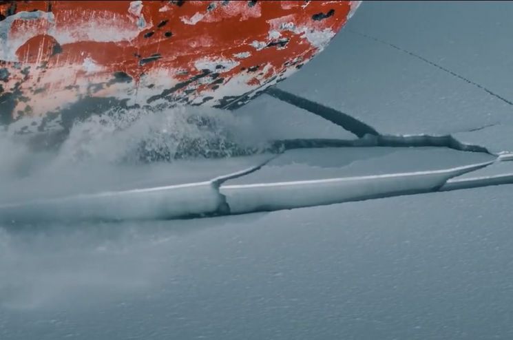 [과학을읽다]쇄빙선이 북극곰 생활 터전을 망친다?