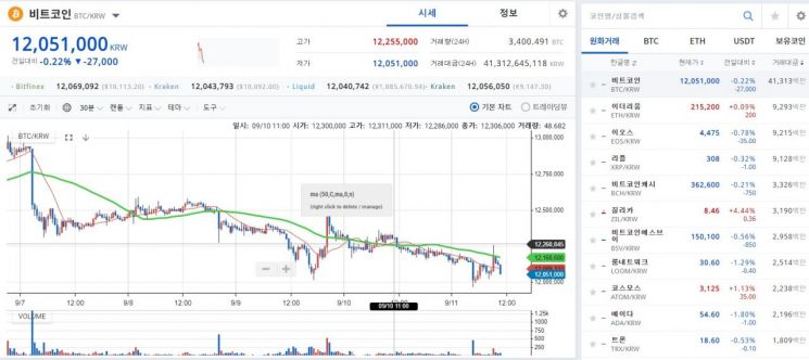 [비트코인 지금]1200만원·1만100달러대