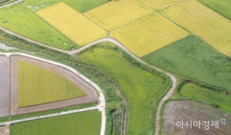 [포토]가을이 오는 풍경