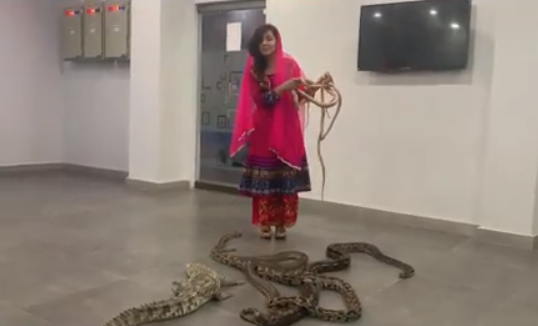 파키스탄의 유명 팝 가수 라비 페르자다가 야생동물과 함께 찍은 영상을 최근 SNS에 공개해 논란에 휩싸였다/사진=라비 페르자다 인스타그램 캡처