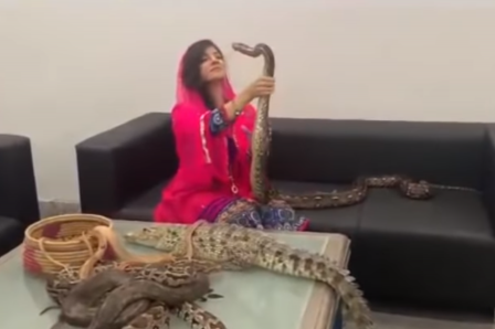 파키스탄의 유명 팝 가수 라비 페르자다가 야생동물과 함께 찍은 영상을 최근 SNS에 공개해 논란에 휩싸였다/사진=라비 페르자다 인스타그램 캡처