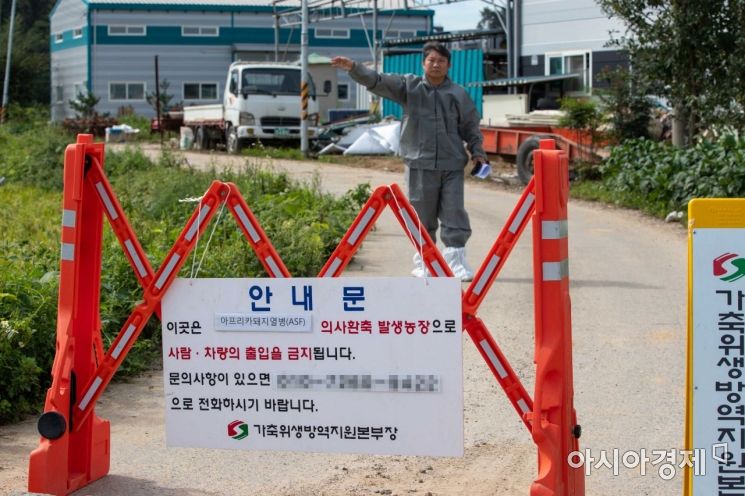 9·19평양선언 기념행사 취소도 검토…돼지열병에 유탄