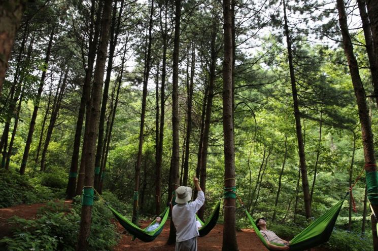 "아토피·비염으로 힘들다면 숲에서 건강 찾자"…무료 캠프 확대 