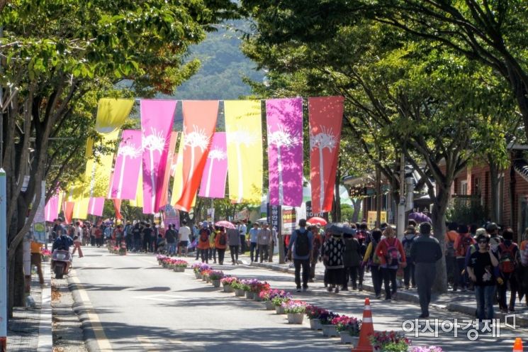[포토] 영광불갑산 상사화축제 구경가는 관광객들