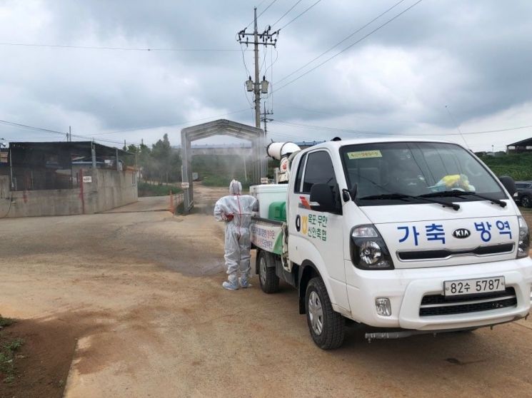 경기 북부 아프리카 돼지열병 의심신고 속출…돼지고기 파동 현실화되나(종합)