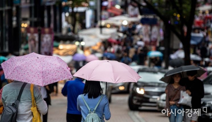 [포토]태풍 '타파' 영향으로 내리는 비