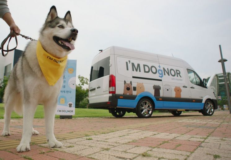 현대차 솔라티 개조해 '반려견용 헌혈카' 제작…전국 순회 캠페인