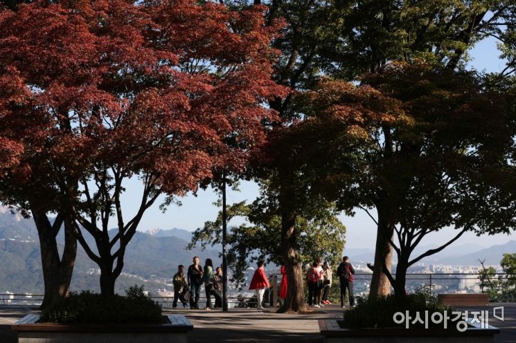 [포토]가을 산책 