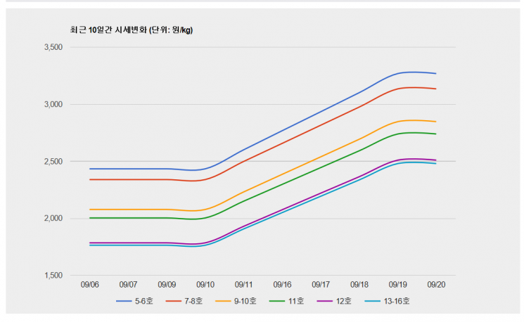 표1)닭고기 시세(자료: 한국육계협회)