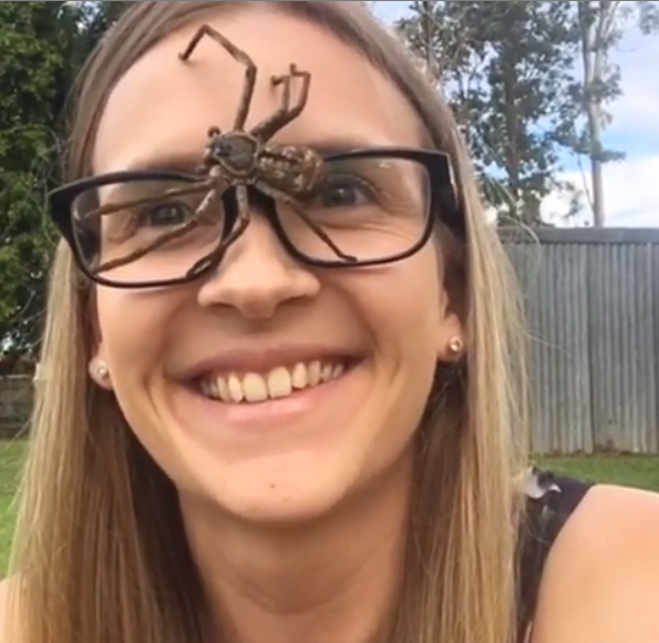 "얼굴에 거미 올려놓으면 긴장풀려" 특이한 스트레스 해소법 가진 호주 여성