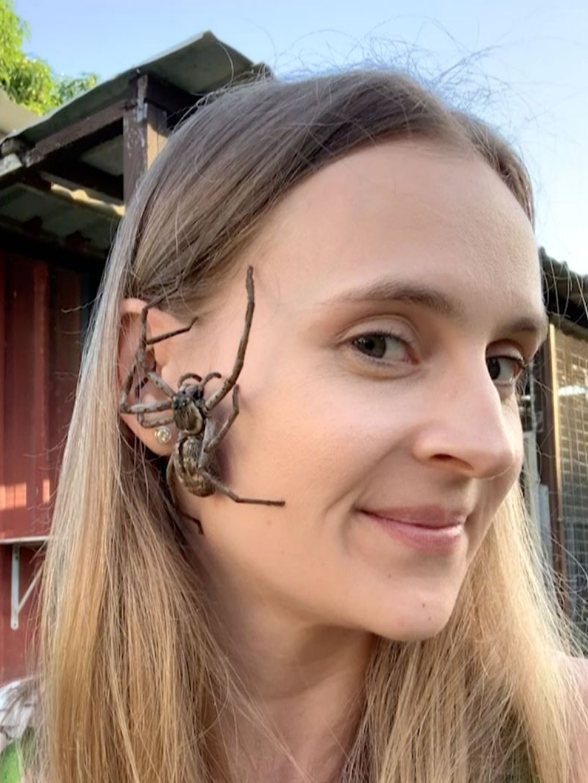 "얼굴에 거미 올려놓으면 긴장풀려" 특이한 스트레스 해소법 가진 호주 여성