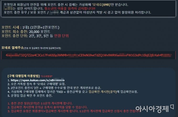 ‘가상화폐만 받아요’…구멍 뚫린 단속에 음란사이트 활개