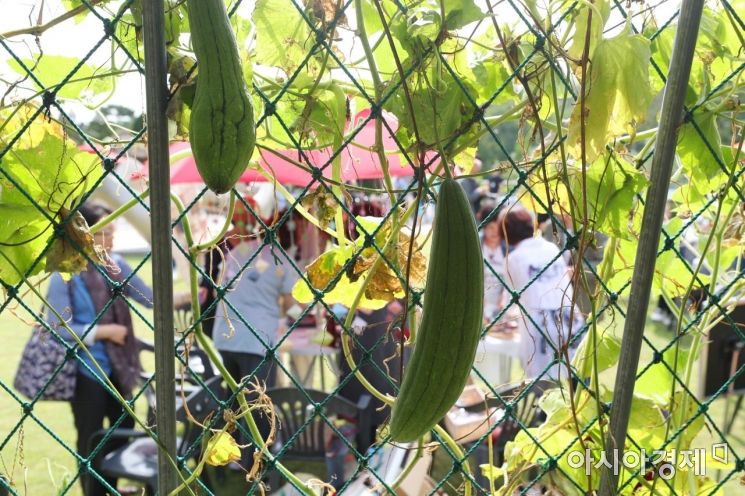 [포토]덩굴식물 뒤로 여성 일자리 박람회 