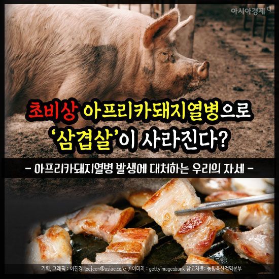 [카드뉴스]초비상 아프리카돼지열병으로 ‘삼겹살’이 사라진다?