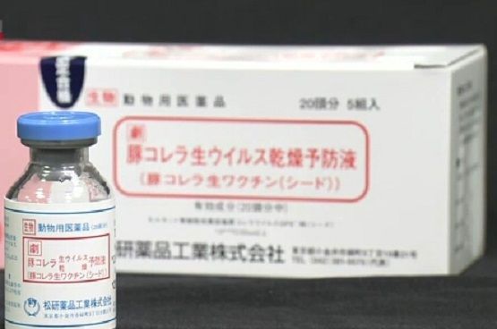 일본 돼지콜레라 백신 약품의 모습. 일본 농림수산성은 18일부터 일본 내 백신 제약사들에게 돼지콜레라 백신 생산량을 늘릴 것을 주문한 것으로 알려졌다(사진=www3.nhk.or.jp)