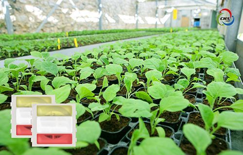 ㈜씨엘라이트, ‘5CHIP 식물재배용 LED‘로 실내 식물재배기술의 새시대 열다