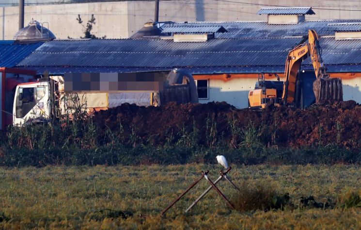 돼지열병 사흘간 추가 신고 없어…주말까지 확산 가능성 '여전'