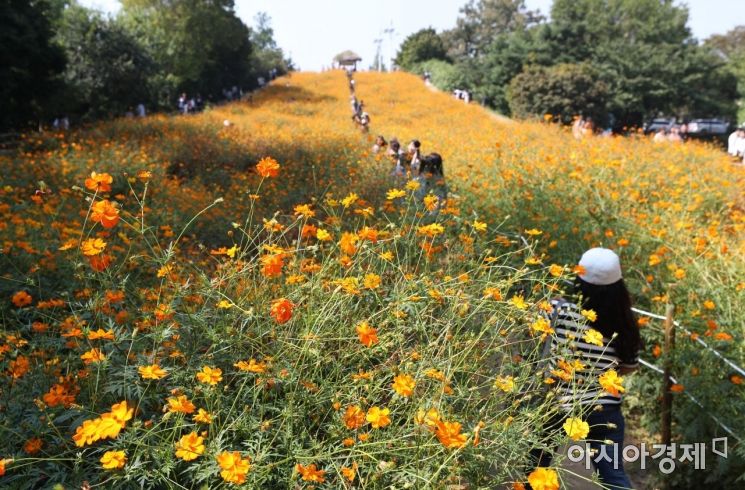 [포토]가을 만끽 