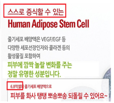 세포 재생하는 줄기세포 화장품? 식약처 "과장광고"