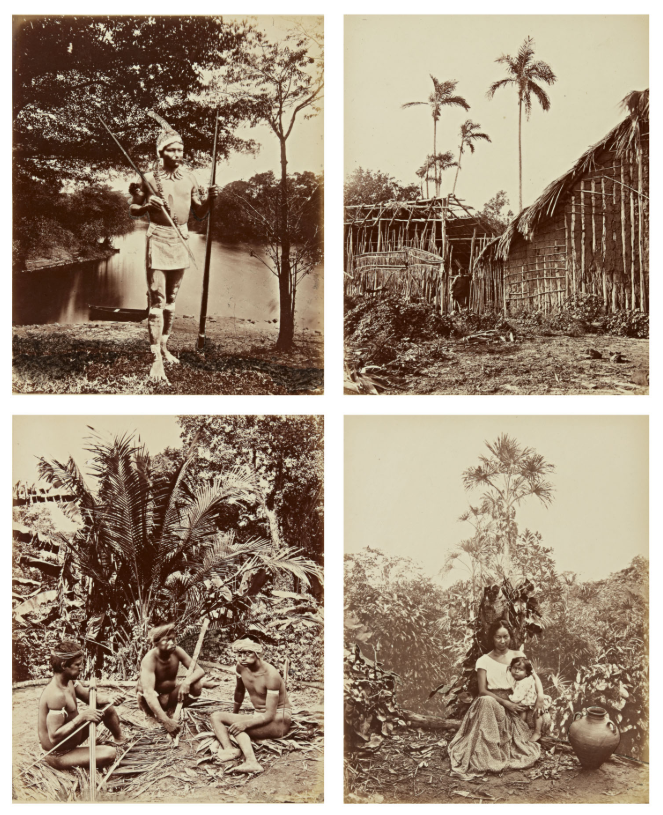 150여 년 전 아마존의 모습이 담긴 사진 앨범/사진=소더비 홈페이지 캡처
