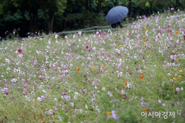 [포토]우중 산책 