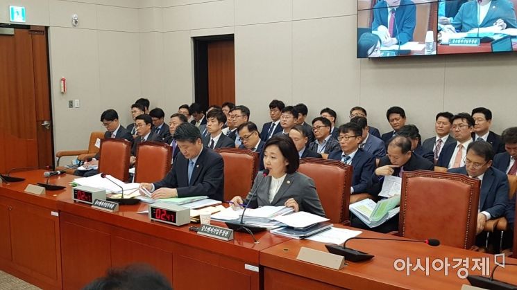 [2019 국감]이마트 편의점·복합쇼핑몰 확장 잡음 "대가성 기금 지급"