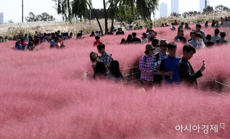 [포토] '가을 나들이'