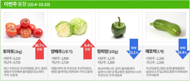[김봉기의 주말 장보기]잦은 우천에 생육 부진한 토마토 가격 올라 