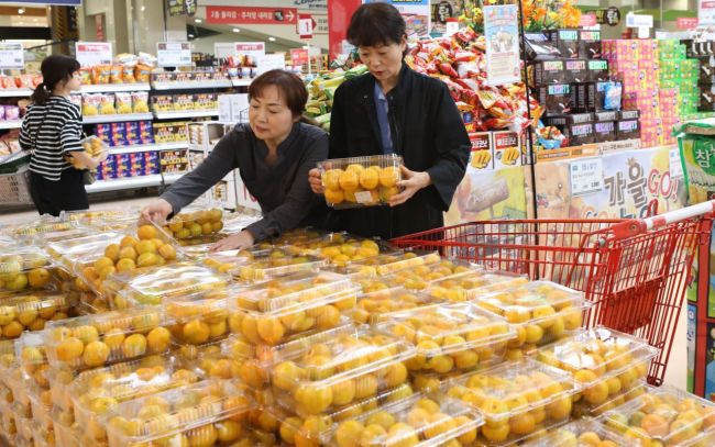 [포토] 새콤달콤 제주산 하우스 감귤