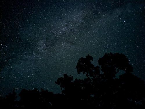 픽셀4로 찍은 밤하늘(사진=구글)