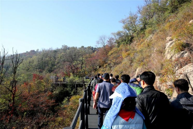 서대문구 안산 자락길서 ‘단풍길 걷기, 쉬나무 가을콘서트’ 개최 