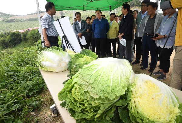 [이미지출처=연합뉴스]