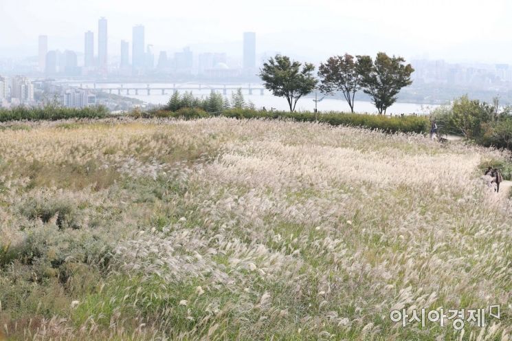 [포토]도심 속 가을 