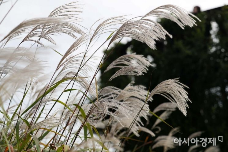 [포토]가을이 좋은 이유 