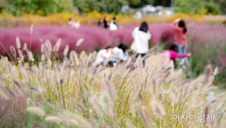 [포토]가을 한강 