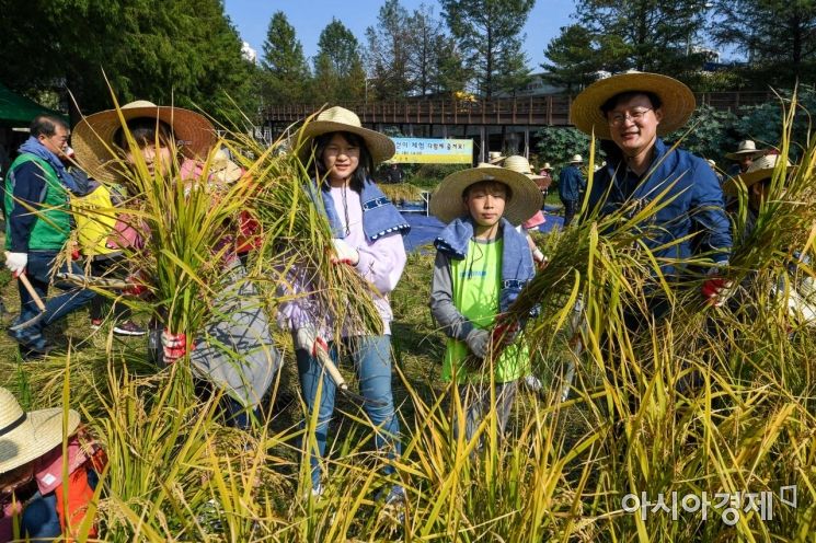 [포토]벼베기 가을 걷이 체험