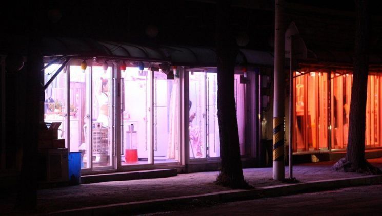 "친구들이 성매매 거리 좋아해…특화 거리로 만들자" 평택시의원 발언 논란