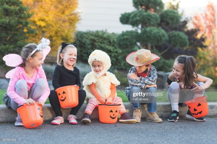 "여기선 '핼러윈' 사탕얻기 금지" 美보안관이 경고판 세운 이유는…