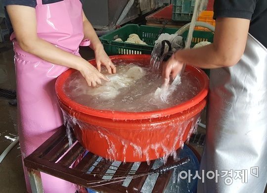 한지의 재료인 닥나무 껍질을 손질해 세척하는 모습