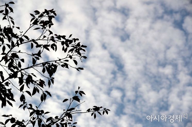 [포토]오늘은 가을의 마지막 절기 '상강'