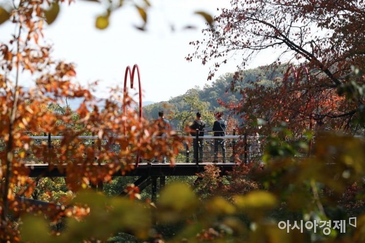 [포토]어느덧 가을의 마지막 절기 '상강' 