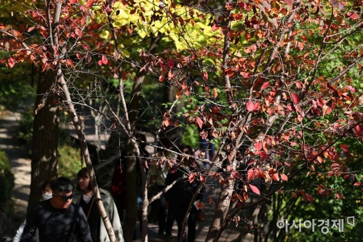 [포토]어느덧 가을의 마지막 절기 '상강' 