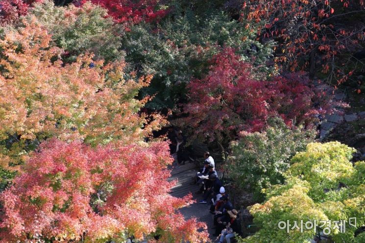 [포토]울긋불긋 