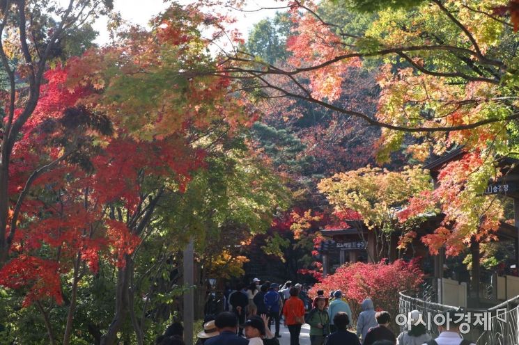 [포토]가을에 머물다 