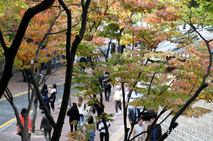 [포토]알록달록 가을옷 입는 덕수궁 돌담길 