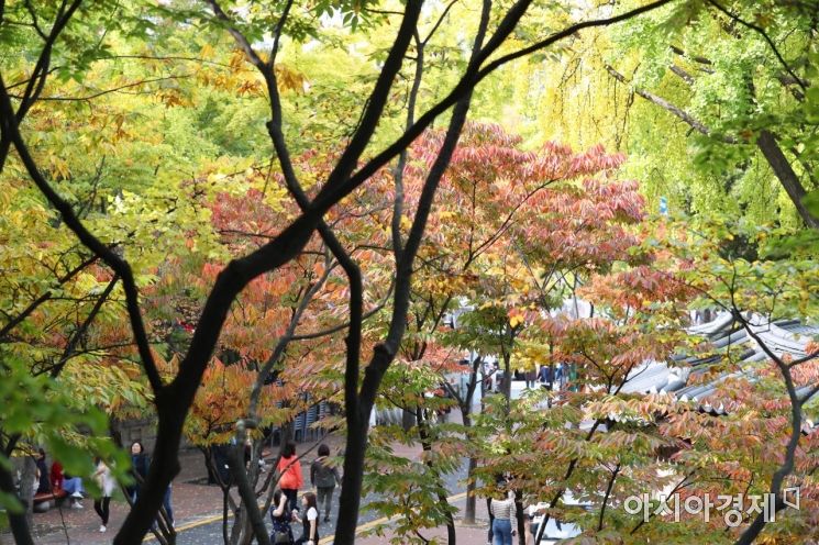 [포토]가을 덕수궁 돌담길 걷는 시민들 